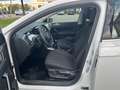 Volkswagen Polo Polo 1.0 EVO 80 CV 5p. Comfortline BlueMotion Tec Bianco - thumbnail 5