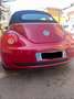 Volkswagen New Beetle Cabrio 1.6 Rosso - thumbnail 6