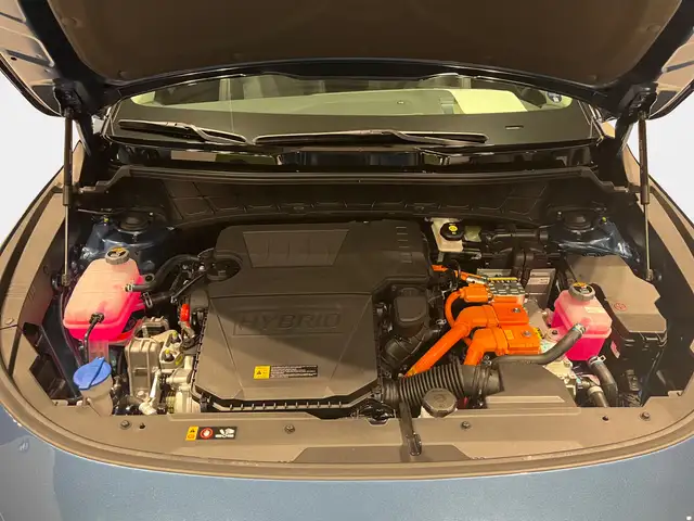 Kia Niro view 13