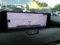 Mazda CX-60 3.3L e-SKYACTIV D AWD HOMURA Grau - thumbnail 25