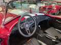 AC Cobra COBRA REPLICA CLASSIC ROADSTERS Rouge - thumbnail 19