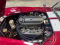 AC Cobra COBRA REPLICA CLASSIC ROADSTERS Rouge - thumbnail 23