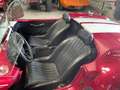 AC Cobra COBRA REPLICA CLASSIC ROADSTERS Rouge - thumbnail 18