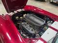 AC Cobra COBRA REPLICA CLASSIC ROADSTERS Rouge - thumbnail 21