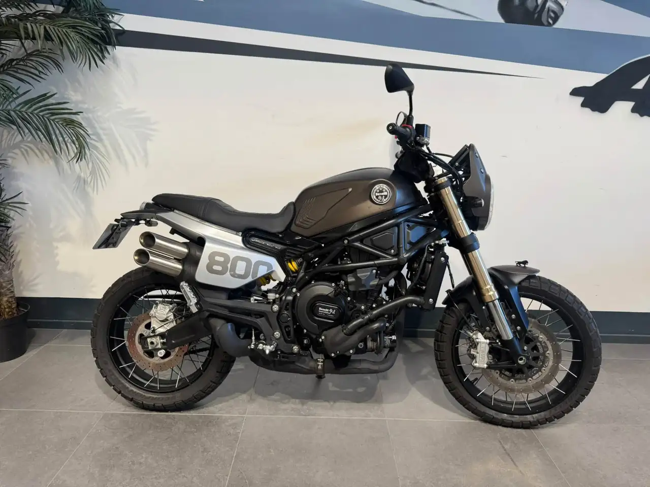 Benelli Leoncino