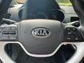 Kia Picanto 1.0 CVVT EconomyPlusLineNavigator Albastru - thumbnail 13