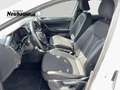 Volkswagen Polo Edition TSI Weiß - thumbnail 8
