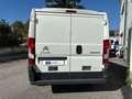 Citroen Jumper FURGONE FRIGORIFERO  ISOTERMICO Bianco - thumbnail 6