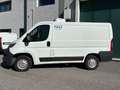 Citroen Jumper FURGONE FRIGORIFERO  ISOTERMICO Bianco - thumbnail 3