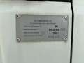 Citroen Jumper FURGONE FRIGORIFERO  ISOTERMICO Bianco - thumbnail 12