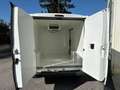 Citroen Jumper FURGONE FRIGORIFERO  ISOTERMICO Bianco - thumbnail 9