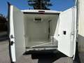 Citroen Jumper FURGONE FRIGORIFERO  ISOTERMICO Bianco - thumbnail 8