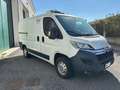 Citroen Jumper FURGONE FRIGORIFERO  ISOTERMICO Bianco - thumbnail 4