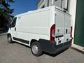 Citroen Jumper FURGONE FRIGORIFERO  ISOTERMICO Bianco - thumbnail 7