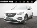 Opel Grandland X 1.2 Turbo Innovation SHZ NAVI LED Weiß - thumbnail 1