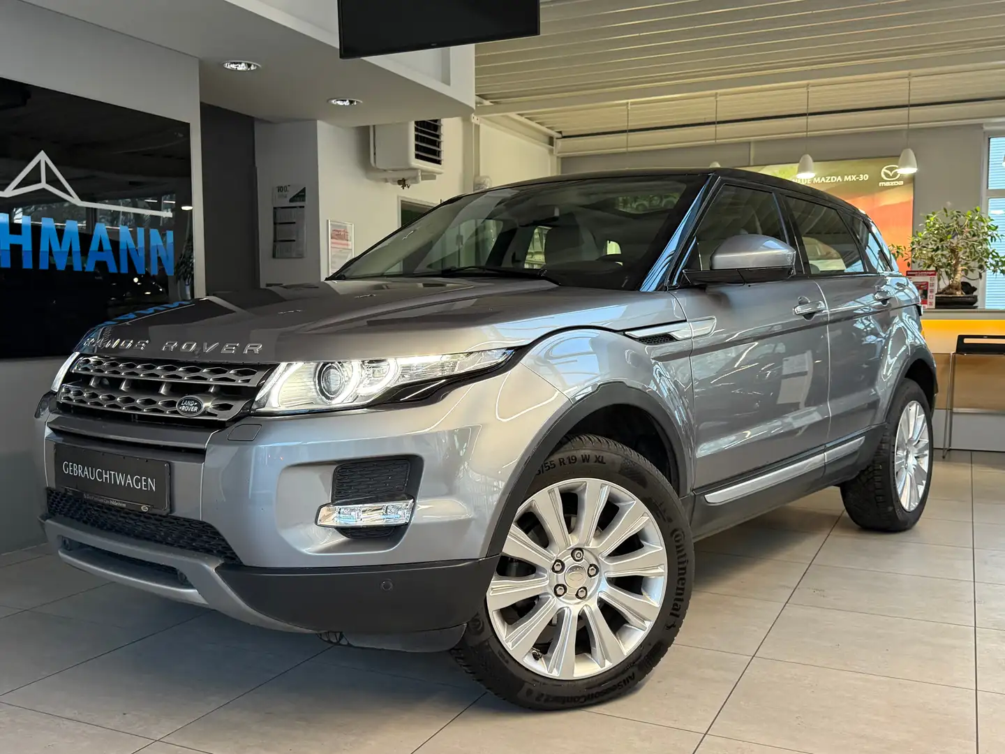 Land Rover Range Rover Evoque Autobiography Kamera Navi SHZ Lenkrad HZG Grau - 1