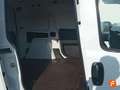 Fiat Doblo 1.3 cc (95CV) Blanco - thumbnail 18