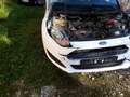 Ford Fiesta Fiesta  3-Türer 1.25 Ambiente - thumbnail 4