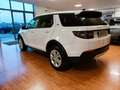 Land Rover Discovery Sport Discovery Sport S  UNICOP. Bianco - thumbnail 5