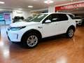Land Rover Discovery Sport Discovery Sport S  UNICOP. Bianco - thumbnail 4