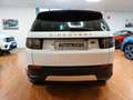 Land Rover Discovery Sport Discovery Sport S  UNICOP. Bianco - thumbnail 7