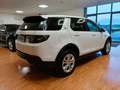 Land Rover Discovery Sport Discovery Sport S  UNICOP. Bianco - thumbnail 6