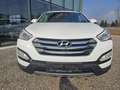 Hyundai SANTA FE Santa Fe 2,2 CRDi 4WD Style Aut. Weiß - thumbnail 6