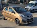 Kia Picanto FIFA World Cup Edition - thumbnail 12