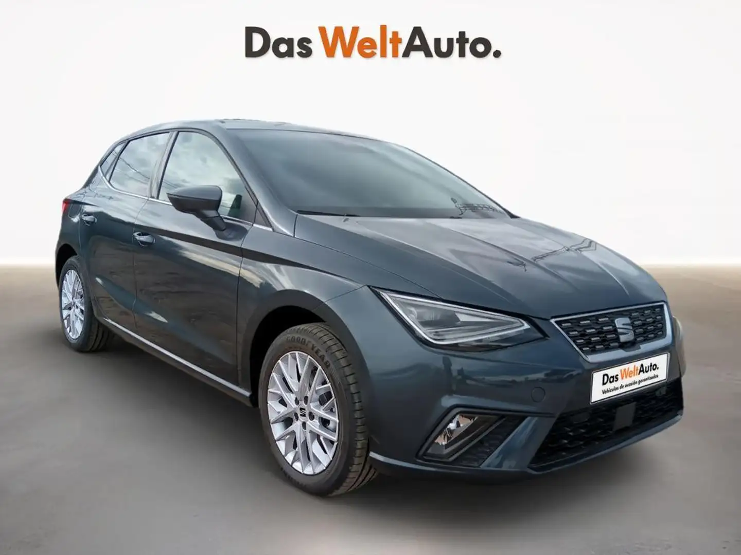 SEAT Ibiza 1.0 TSI S&S Special Edition 110 Gris - 1