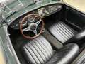 MG MGA MG A 1500 Roadster Grün - thumbnail 6