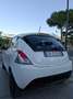 Lancia Ypsilon 1.0 firefly hybrid Gold Plus s Noir - thumbnail 15