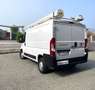 Fiat Ducato 3.0 CNG 136cv - OFFICINA MOBILE + INVERTER Blanco - thumbnail 11