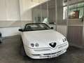 Alfa Romeo Spider 1.8 ts 16v - thumbnail 1
