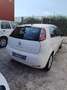 Fiat Punto Evo 5p 1.3 mjt MyLife s&s 75cv - thumbnail 4