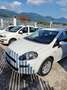Fiat Punto Evo 5p 1.3 mjt MyLife s&s 75cv - thumbnail 3