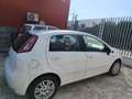 Fiat Punto Evo 5p 1.3 mjt MyLife s&s 75cv - thumbnail 1