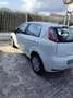 Fiat Punto Evo 5p 1.3 mjt MyLife s&s 75cv - thumbnail 5