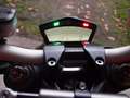 Ducati 1098 STF Rouge - thumbnail 6