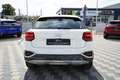 Audi Q2 35 TFSI*DSG*1.Hand*B&O*Matrix*Kamera*19Zoll* Blanc - thumbnail 6