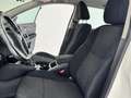 Nissan Qashqai 1.5 dci Tekna 110cv-GARANTITO-2015 Bianco - thumbnail 14