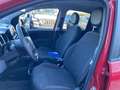 Fiat Panda Panda Cross 1.0 FireFly S&S Hybrid Rot - thumbnail 11