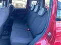 Fiat Panda Panda Cross 1.0 FireFly S&S Hybrid Rot - thumbnail 21