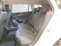 Volkswagen Passat Variant Passat Business 2,0 l TDI SCR 90 kW (122 PS) 7-G Weiß - thumbnail 13