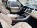 Land Rover Range Rover Sport 3,0 SDV6 HSE Dynamic 7 setze Platz Beige - thumbnail 3