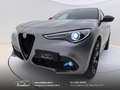 Alfa Romeo Stelvio 2.2 t Veloce Q4 Pack Performance-Sospensioni-Diff Gris - thumbnail 5