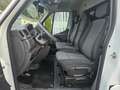 Renault Master JK Pferdetransporter Weiß - thumbnail 5