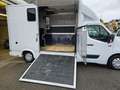 Renault Master JK Pferdetransporter Weiß - thumbnail 24