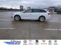 Skoda Octavia Combi Selection 2.0l TDI 110kW DSG LED Klima Weiß - thumbnail 3