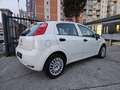 Fiat Punto 1.2 8V 5 porte GPL Bianco - thumbnail 4