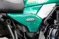Kawasaki Z 650 RS Modell 2026, 4 JAHREN WERKSGARANTIE Verde - thumbnail 17